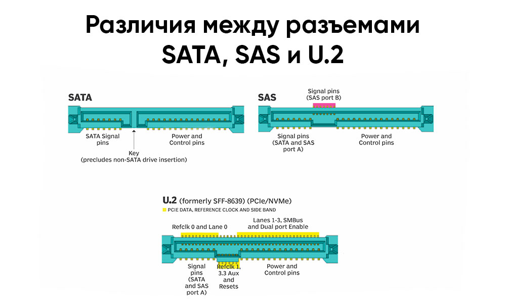 Различия между разъемами SATA, SAS и U.2